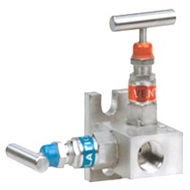 2 TM 1 MANIFOLD